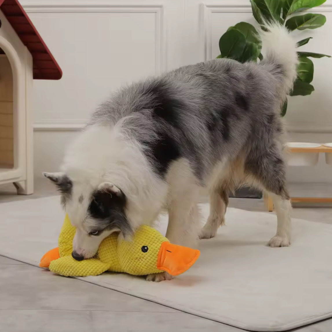 Giocattolo Morbido per Cani – Anatra Peluche da Coccolare