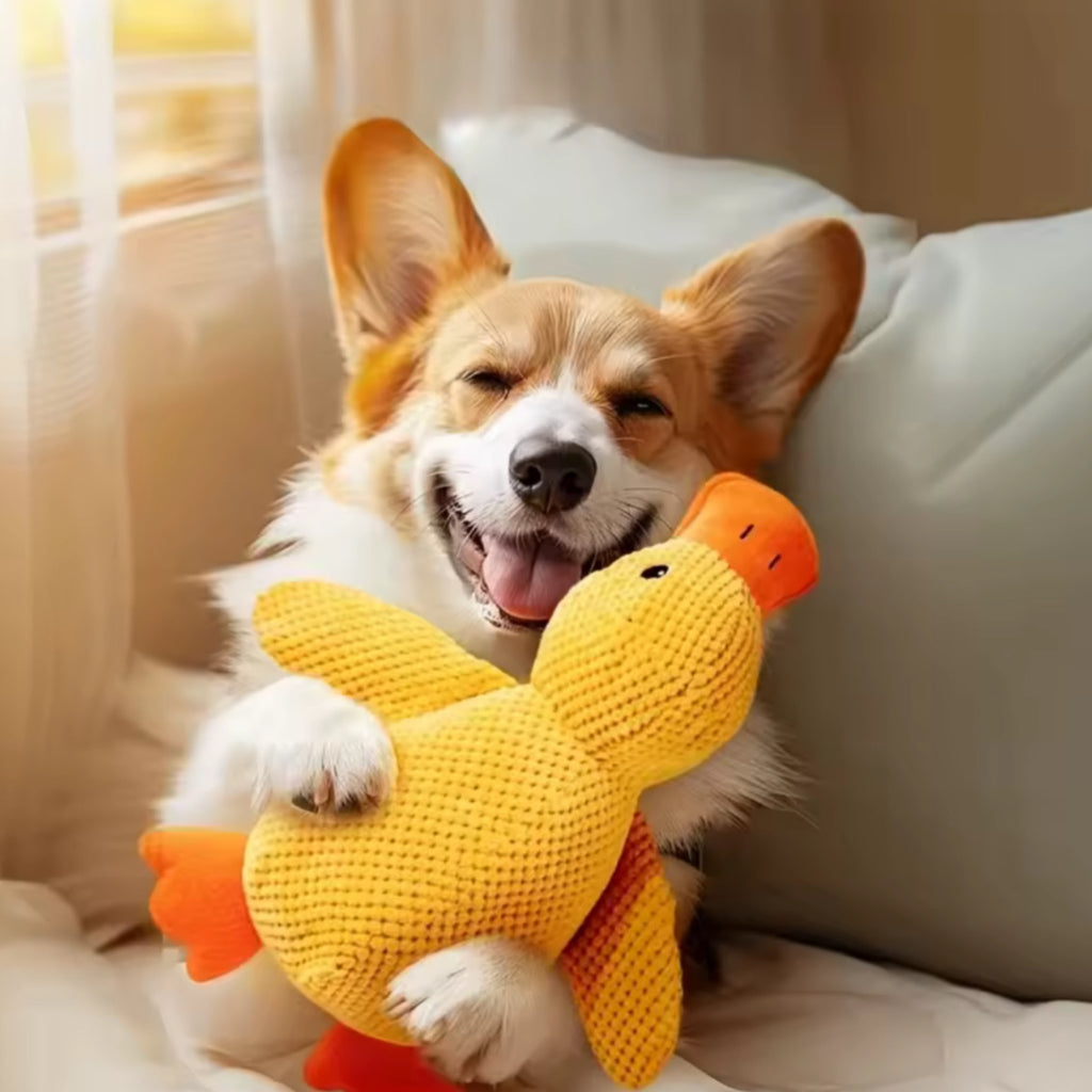 Giocattolo Morbido per Cani – Anatra Peluche da Coccolare