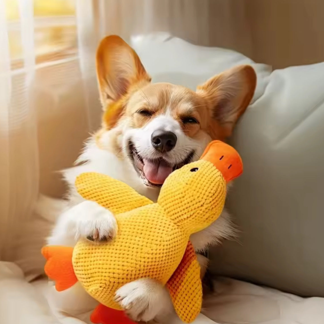 Giocattolo Morbido per Cani – Anatra Peluche da Coccolare