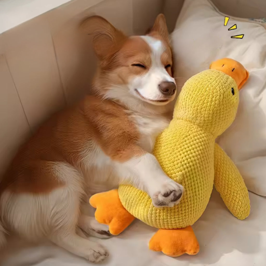 Giocattolo Morbido per Cani – Anatra Peluche da Coccolare