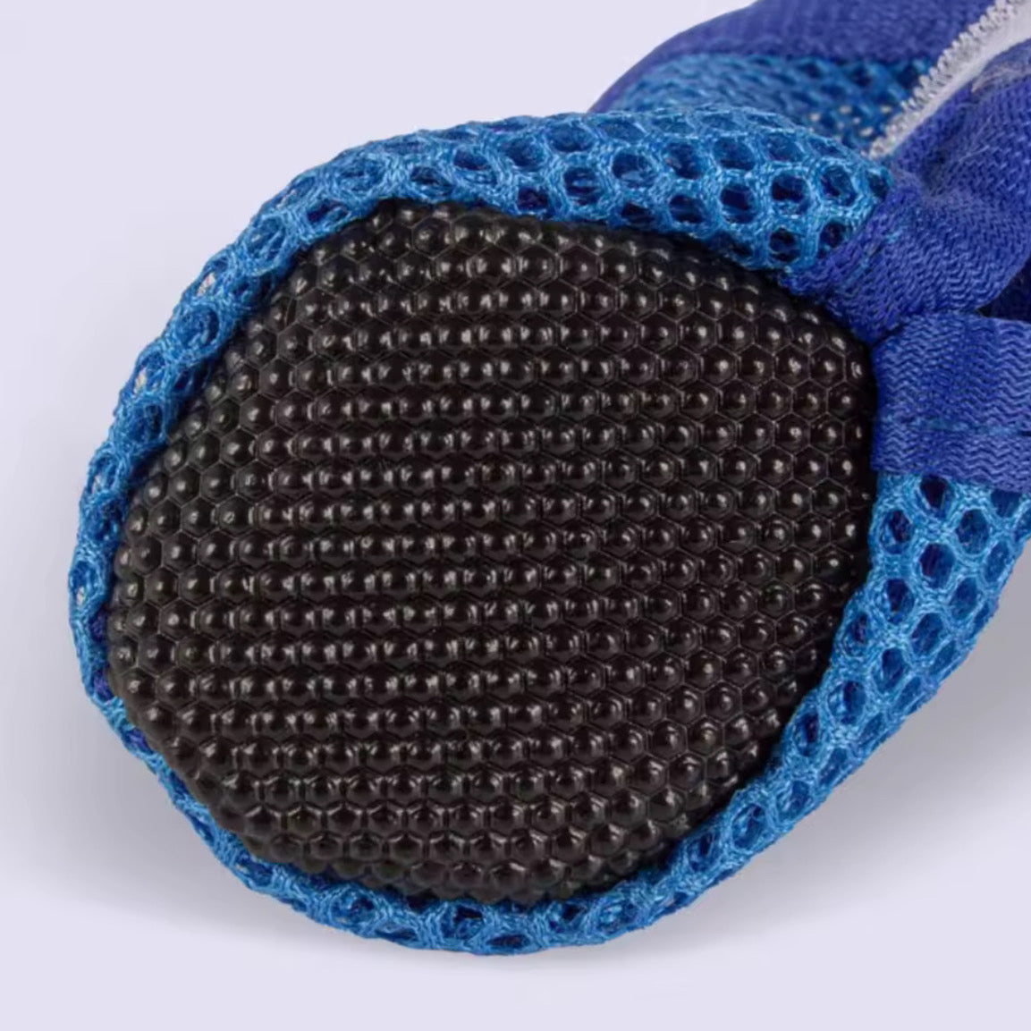 Scarpe Traspiranti per Cani – Proteggi le Zampette con Stile 🐾